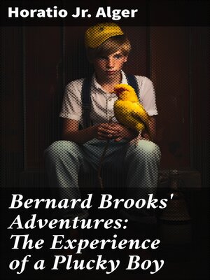 cover image of Bernard Brooks' Adventures